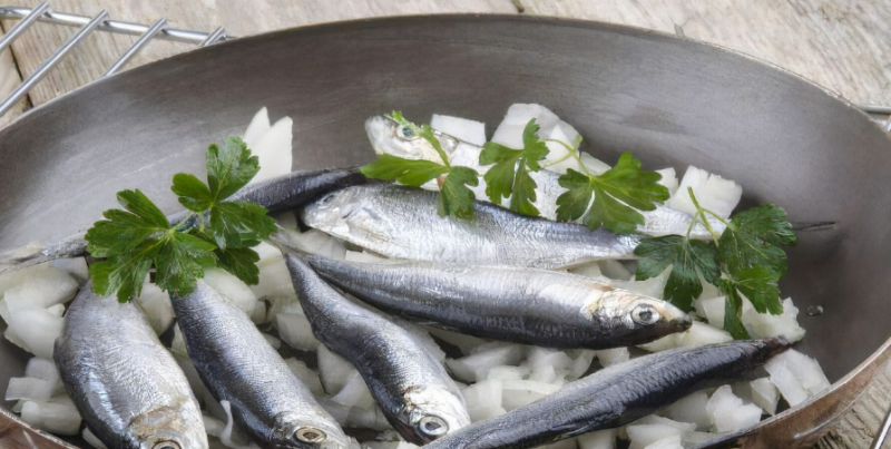 俄駐華商務(wù)代表：俄對(duì)華魚(yú)類(lèi)和海產(chǎn)品出口已重返新冠疫情前水平