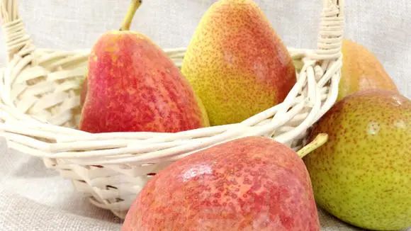 進(jìn)口食品報關(guān)
