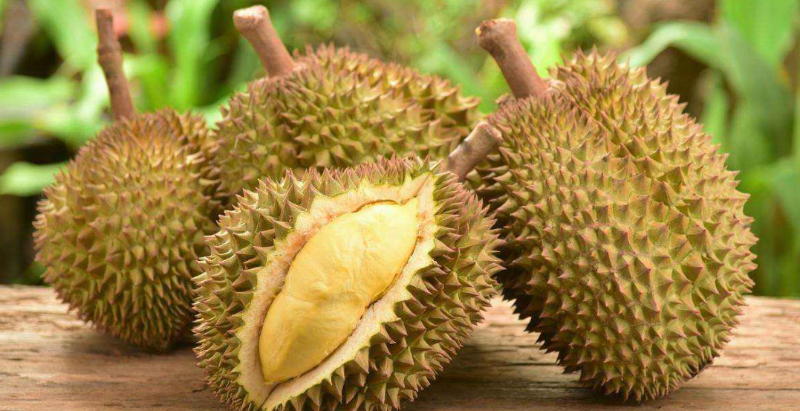 越南林同省多個單位和農(nóng)戶登記對中國出口榴蓮
