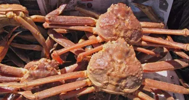 食品進口時必須知道的管理制度，進口食品不合格處置監(jiān)管制度，跟著心海供應(yīng)鏈上海食品進口清關(guān)一起來看下吧，需要上海食品進口清關(guān) 歡迎來電咨詢。