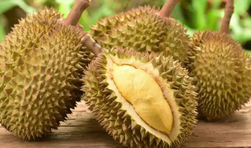 越南榴蓮將正式對華出口
