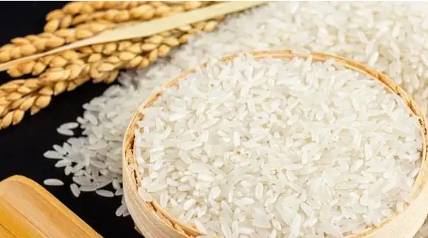 俄羅斯糧食協(xié)會(huì)：2022-2023年俄羅斯糧食出口量可達(dá)5500萬(wàn)噸